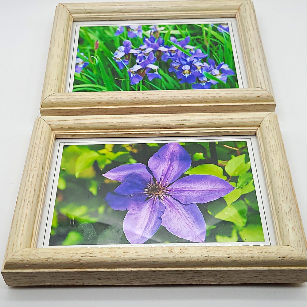 Set of 2 Clematis Floral Art Prints Light Wood Frames Purple Flower Wall Decor